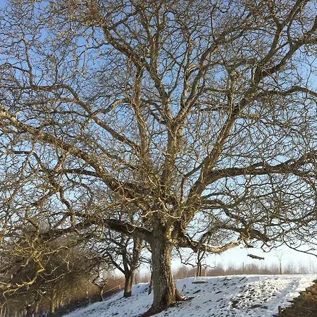 巴瑞耶瑞旅馆 4* 拉弗雷切