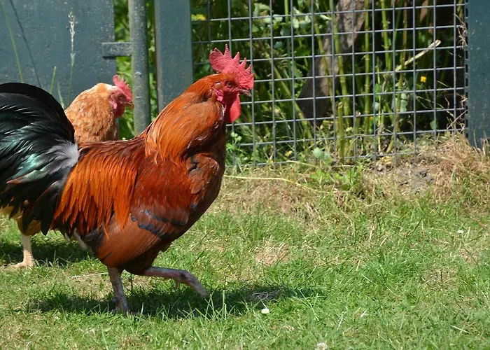 La Barillerie La Flèche