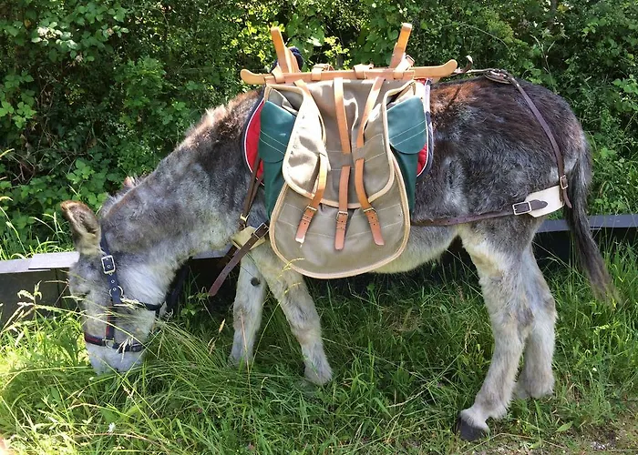 Couette-café La Barillerie