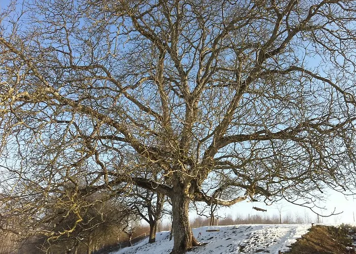 La Barillerie 4* La Flèche