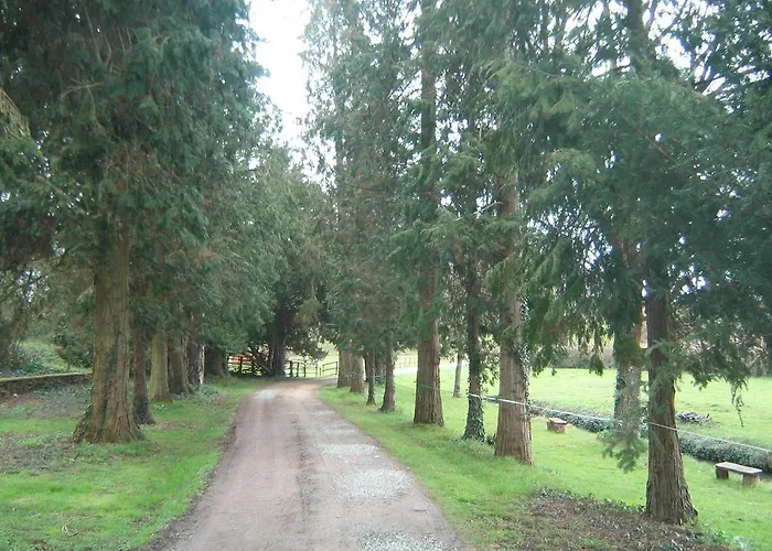 Couette-café La Barillerie La Flèche