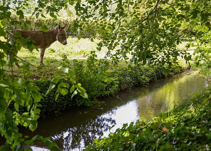 La Barillerie La Flèche